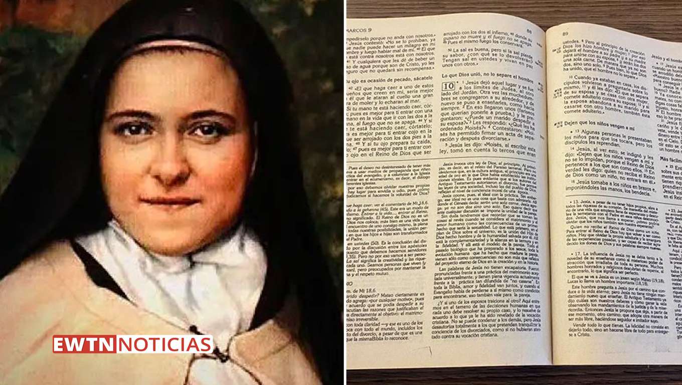 La Ultima Monta Del Niño De Oro El pasaje de la Biblia que cambió la vida de Santa Teresita del Niño