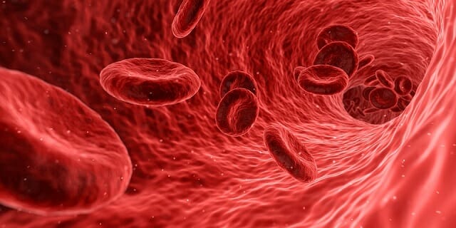 celulas rojas